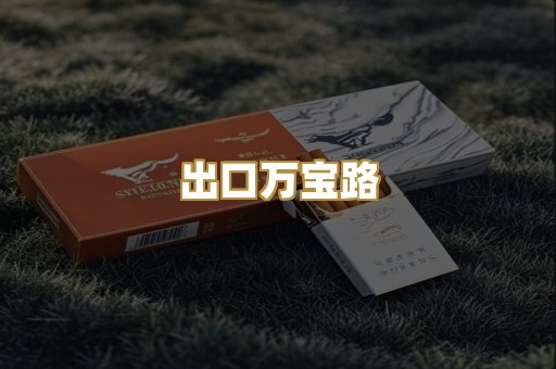 出口万宝路